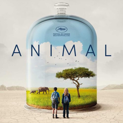 Animal - COUP DE COEUR DU 15 DÉCEMBRE 2021